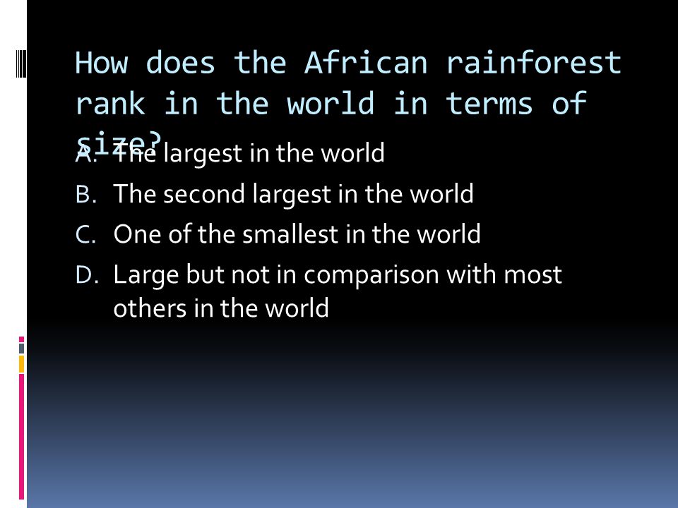 How does the African rainforest rank in the world in terms of size.