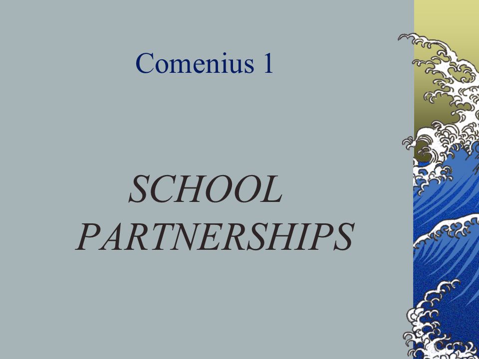 Comenius 1 SCHOOL PARTNERSHIPS
