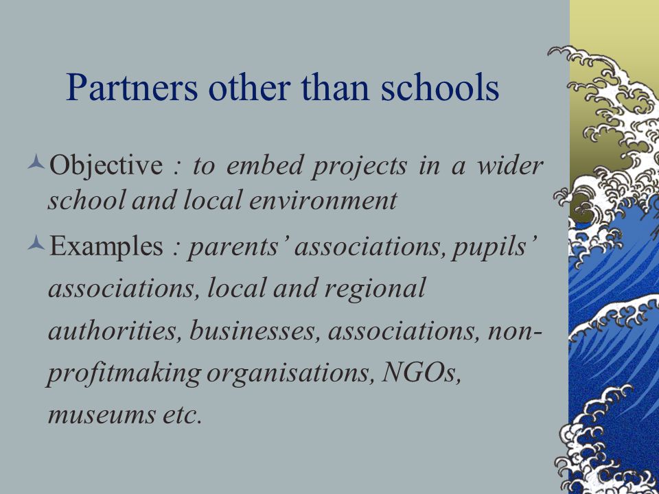 Partners other than schools Objective : to embed projects in a wider school and local environment Examples : parents’ associations, pupils’ associations, local and regional authorities, businesses, associations, non- profitmaking organisations, NGOs, museums etc.