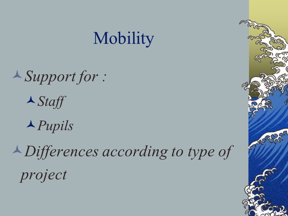 Mobility Support for : Staff Pupils Differences according to type of project