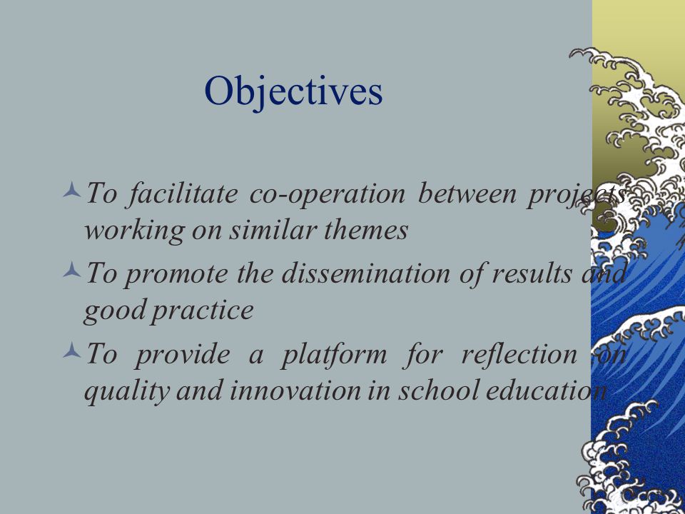 Objectives To facilitate co-operation between projects working on similar themes To promote the dissemination of results and good practice To provide a platform for reflection on quality and innovation in school education