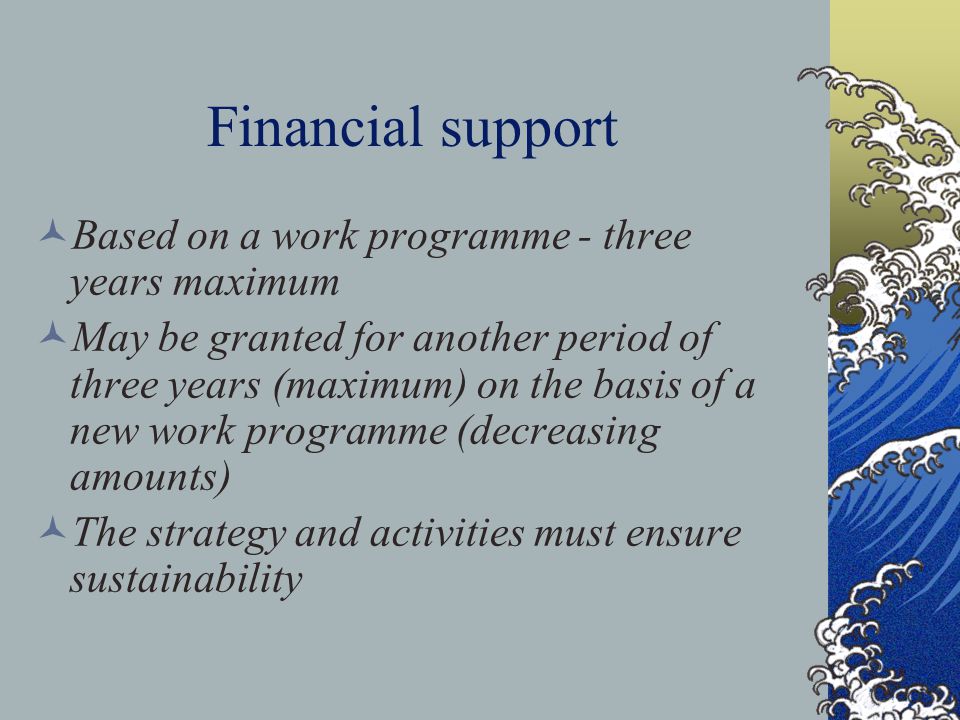Financial support Based on a work programme - three years maximum May be granted for another period of three years (maximum) on the basis of a new work programme (decreasing amounts) The strategy and activities must ensure sustainability