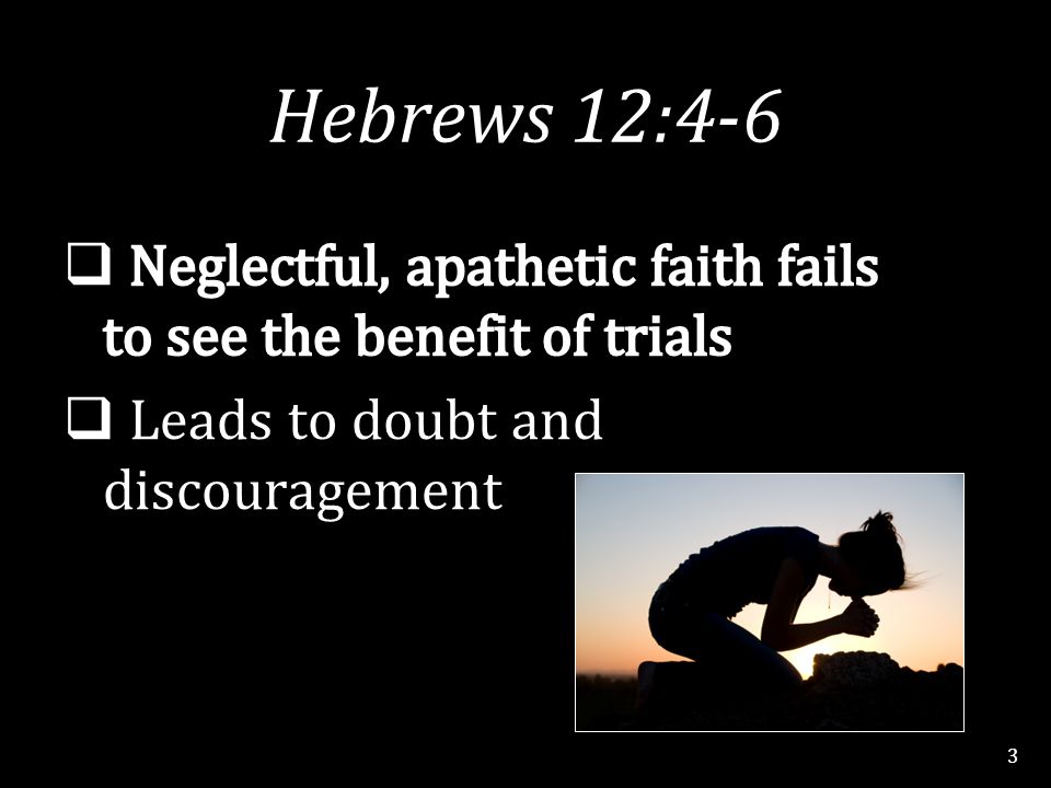Hebrews 12:4-6 3
