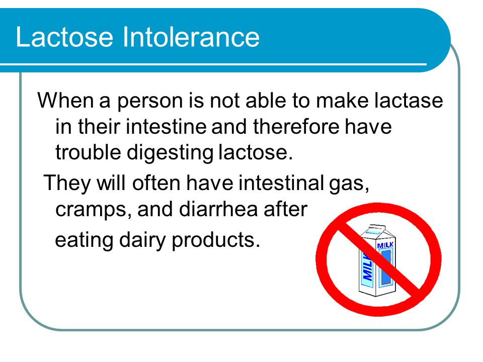 Lactose Intolerance When a person is not able to make lactase in their intestine and therefore have trouble digesting lactose.