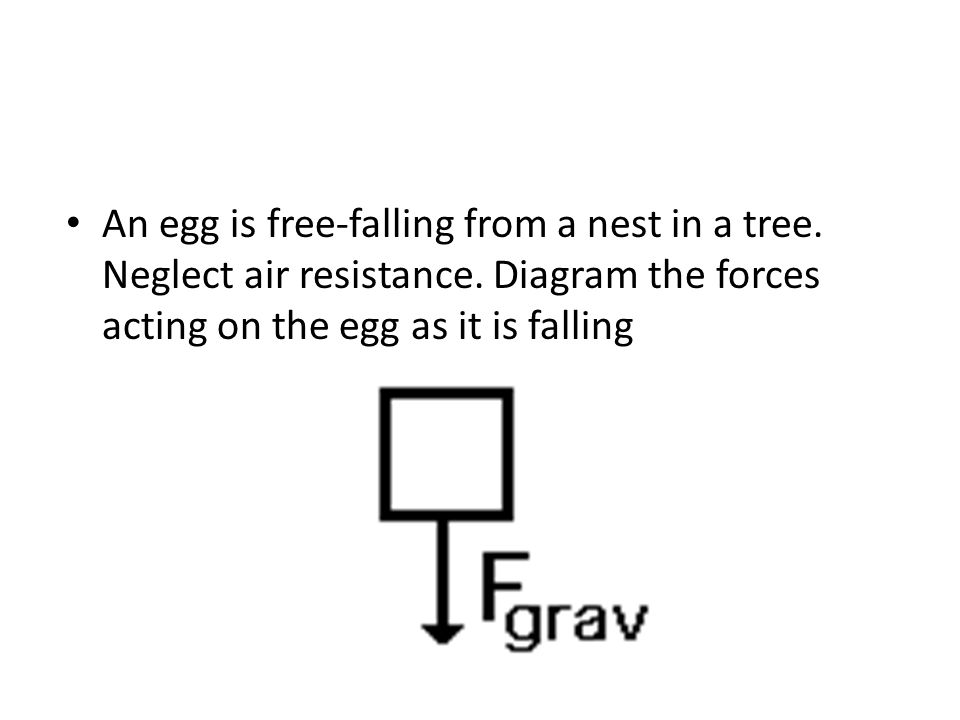 An egg is free-falling from a nest in a tree. Neglect air resistance.