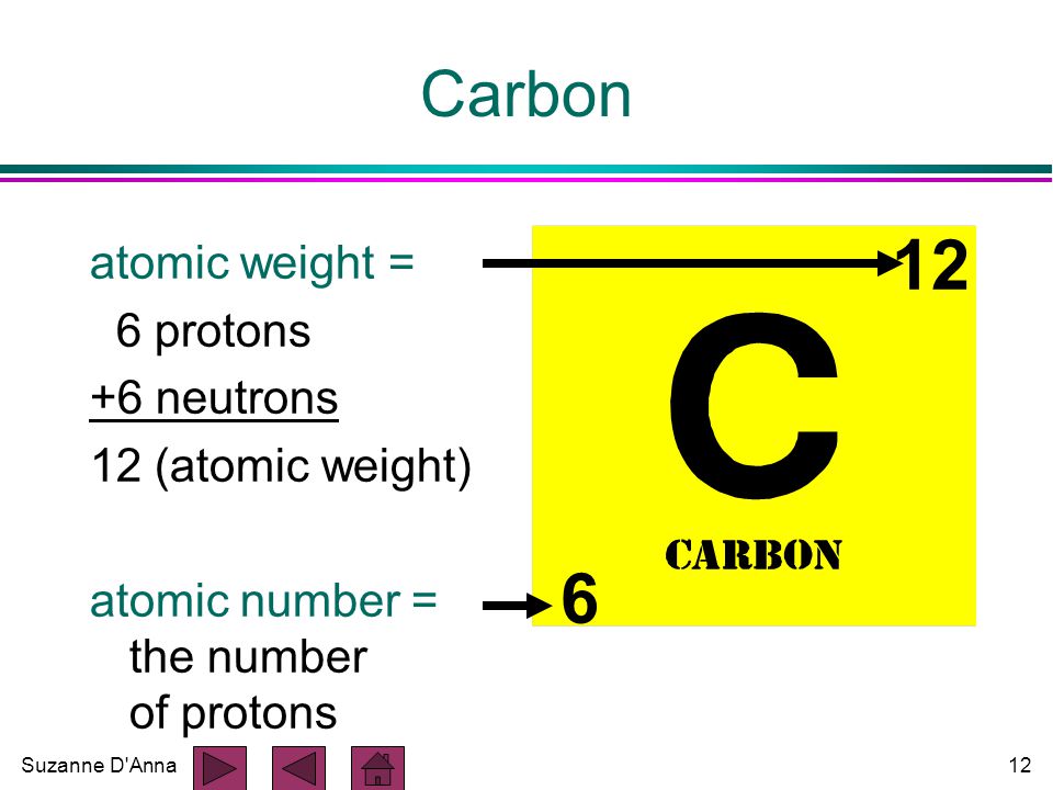 Suzanne D Anna12 atomic weight = 6 protons +6 neutrons 12 (atomic weight) atomic number = the number of protons Carbon 12 6