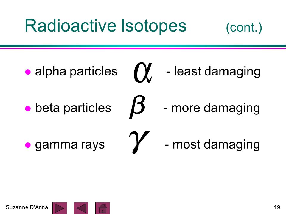 Suzanne D Anna19 Radioactive Isotopes (cont.) l alpha particles - least damaging l beta particles - more damaging l gamma rays - most damaging