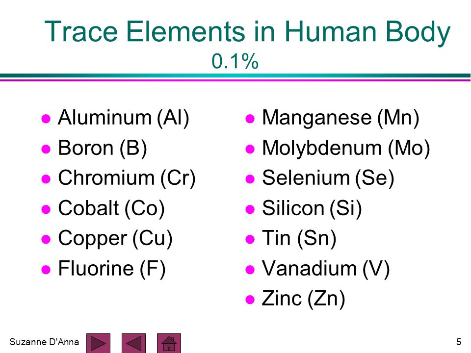 Suzanne D Anna5 Trace Elements in Human Body 0.1% l Aluminum (Al) l Boron (B) l Chromium (Cr) l Cobalt (Co) l Copper (Cu) l Fluorine (F) l Manganese (Mn) l Molybdenum (Mo) l Selenium (Se) l Silicon (Si) l Tin (Sn) l Vanadium (V) l Zinc (Zn)