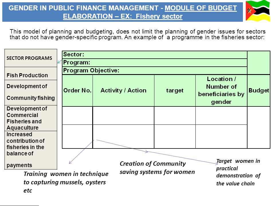 SECTOR PROGRAMS Fish Production Development of Community fishing Development of Commercial Fisheries and Aquaculture Increased contribution of fisheries in the balance of payments Training women in technique to capturing mussels, oysters etc Creation of Community saving systems for women Target women in practical demonstration of the value chain GENDER IN PUBLIC FINANCE MANAGEMENT - MODULE OF BUDGET ELABORATION – EX: Fishery sector This model of planning and budgeting, does not limit the planning of gender issues for sectors that do not have gender-specific program.