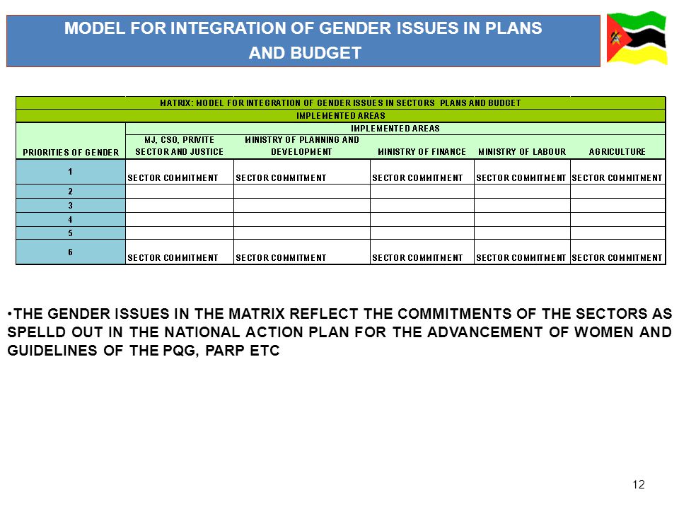 12 MODEL FOR INTEGRATION OF GENDER ISSUES IN PLANS AND BUDGET THE GENDER ISSUES IN THE MATRIX REFLECT THE COMMITMENTS OF THE SECTORS AS SPELLD OUT IN THE NATIONAL ACTION PLAN FOR THE ADVANCEMENT OF WOMEN AND GUIDELINES OF THE PQG, PARP ETC