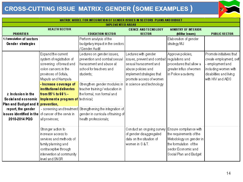 14 CROSS-CUTTING ISSUE MATRIX: GENDER ( SOME EXAMPLES )