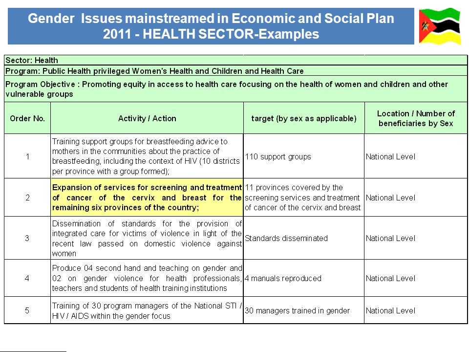 Gender Issues mainstreamed in Economic and Social Plan HEALTH SECTOR-Examples