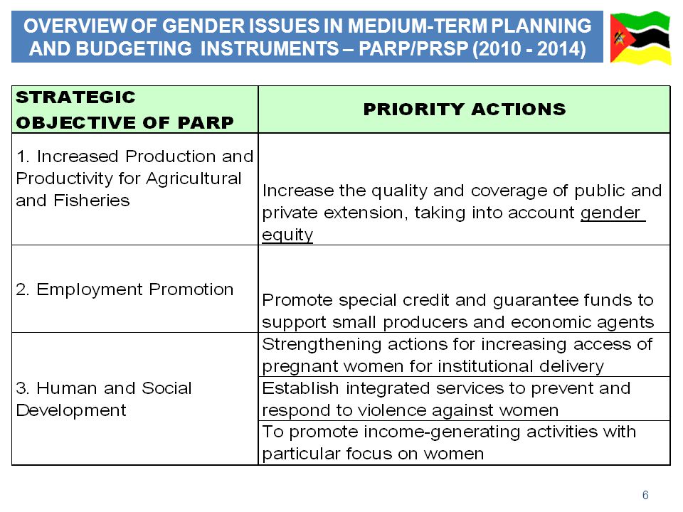 6 OVERVIEW OF GENDER ISSUES IN MEDIUM-TERM PLANNING AND BUDGETING INSTRUMENTS – PARP/PRSP ( )
