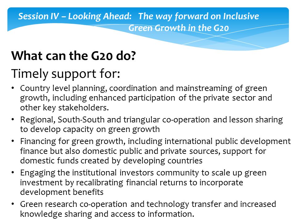 What can the G20 do.