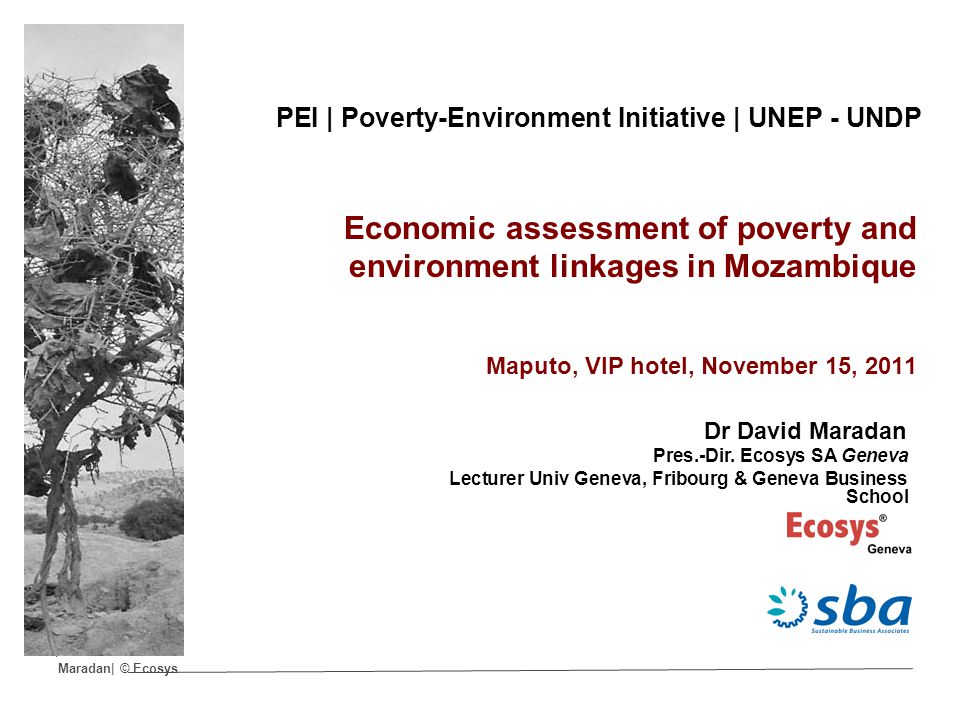 Maradan| © Ecosys PEI | Poverty-Environment Initiative | UNEP - UNDP Economic assessment of poverty and environment linkages in Mozambique Maputo, VIP hotel, November 15, 2011 Dr David Maradan Pres.-Dir.