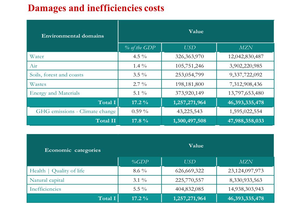 © Ecosys Damages and inefficiencies costs