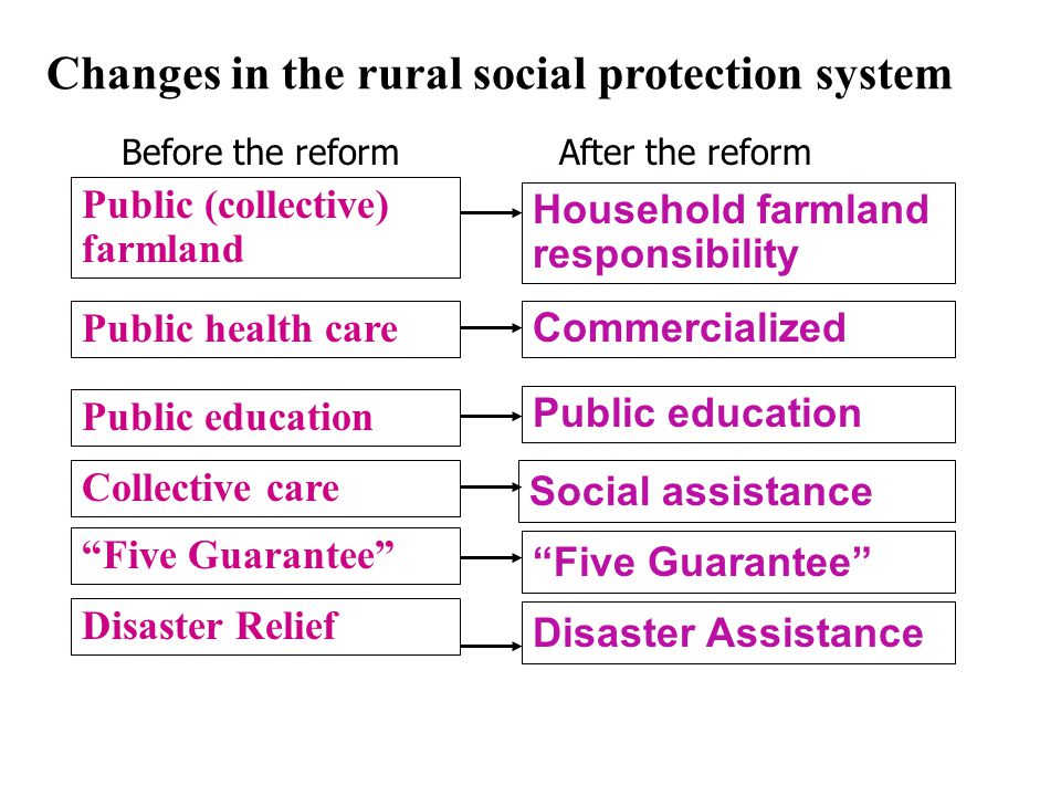 2.The social protection transition during the reform