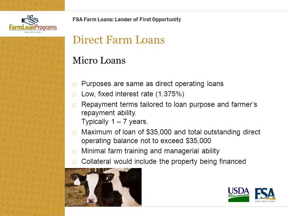 Direct Farm Loans Micro Loans Purposes are same as direct operating loans Low, fixed interest rate (1.375%) Repayment terms tailored to loan purpose and farmer’s repayment ability.