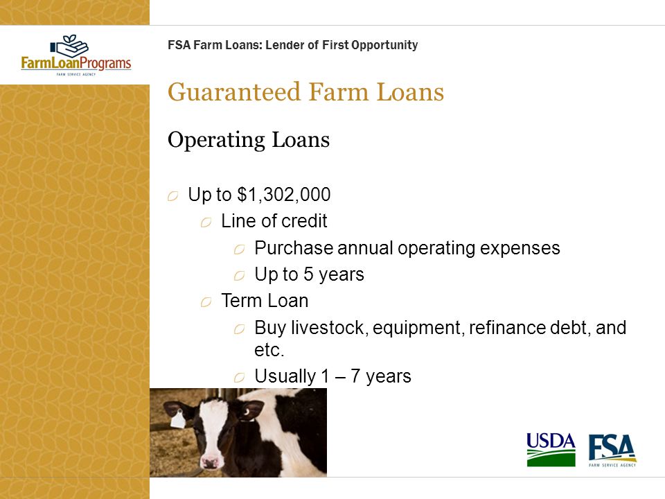 Guaranteed Farm Loans Operating Loans Up to $1,302,000 Line of credit Purchase annual operating expenses Up to 5 years Term Loan Buy livestock, equipment, refinance debt, and etc.