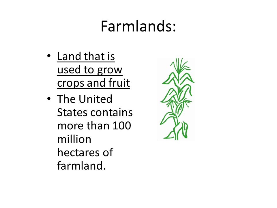 Farmlands: Land that is used to grow crops and fruit The United States contains more than 100 million hectares of farmland.