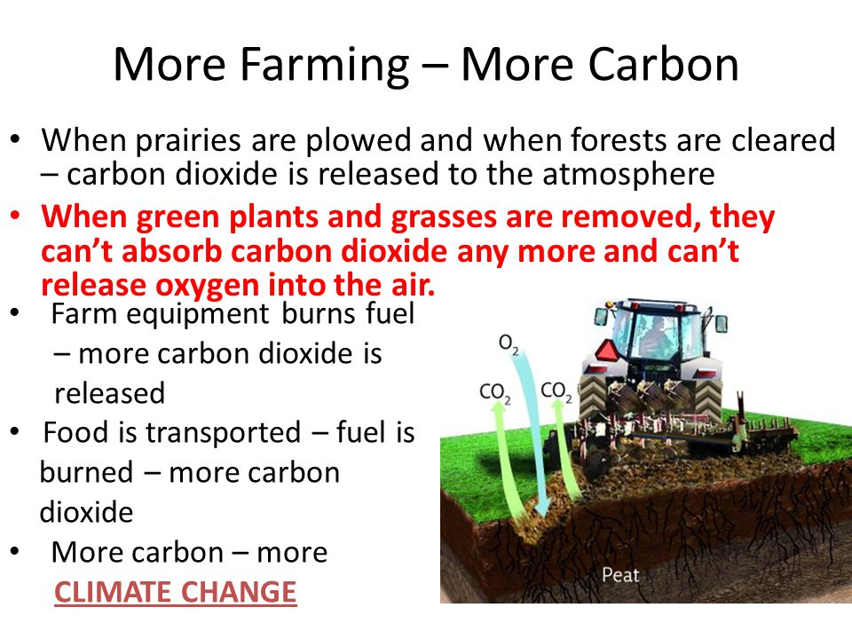 More Farming – More Carbon When prairies are plowed and when forests are cleared – carbon dioxide is released to the atmosphere When green plants and grasses are removed, they can’t absorb carbon dioxide any more and can’t release oxygen into the air.