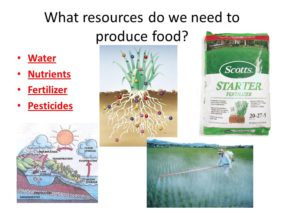 What resources do we need to produce food Water Nutrients Fertilizer Pesticides