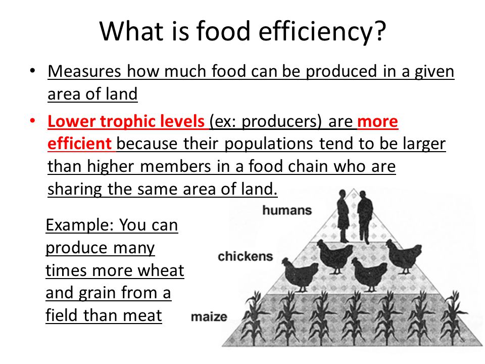 What is food efficiency.