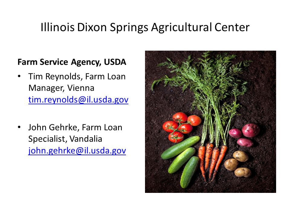 Illinois Dixon Springs Agricultural Center Farm Service Agency, USDA Tim Reynolds, Farm Loan Manager, Vienna  John Gehrke, Farm Loan Specialist, Vandalia