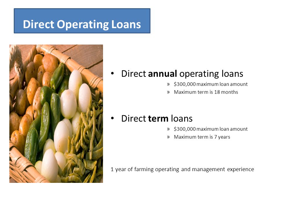 Direct Operating Loans Direct annual operating loans » $300,000 maximum loan amount » Maximum term is 18 months Direct term loans » $300,000 maximum loan amount » Maximum term is 7 years 1 year of farming operating and management experience