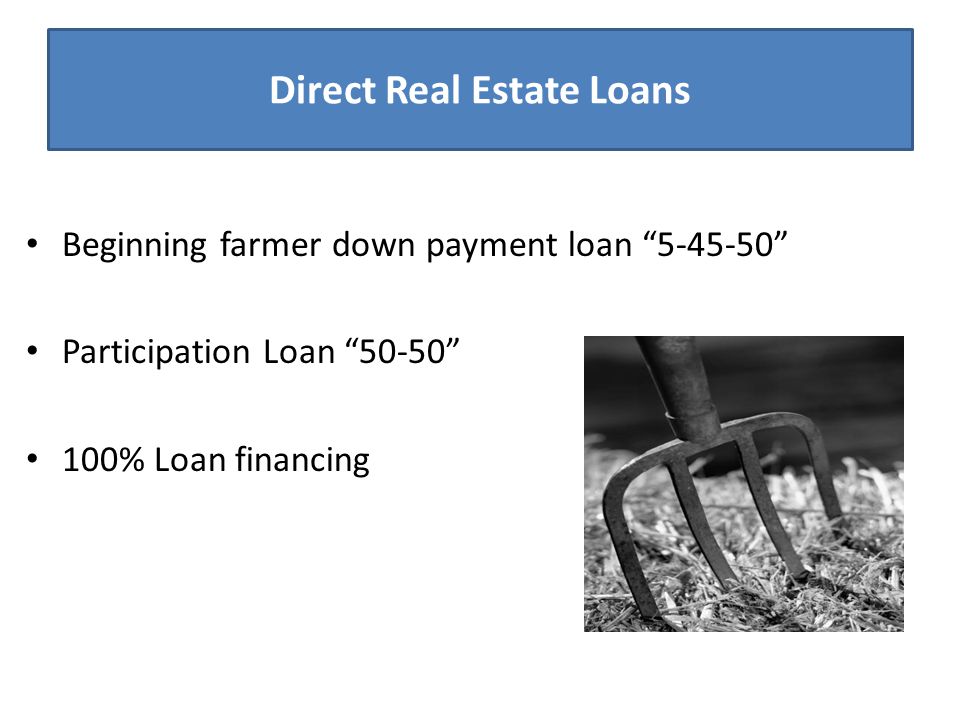 Direct Real Estate Loans Beginning farmer down payment loan Participation Loan % Loan financing