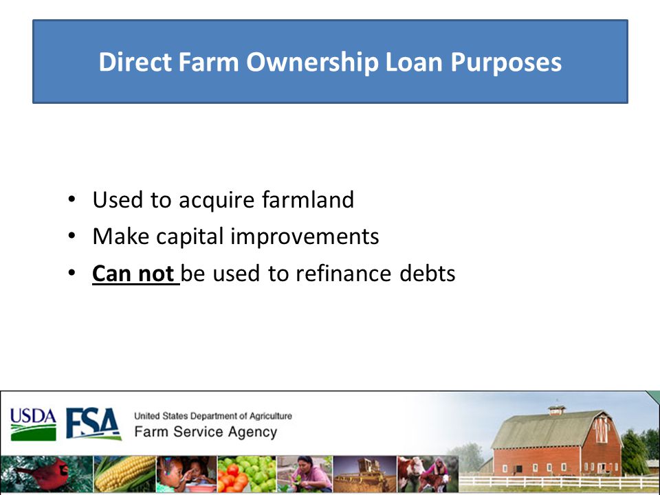 Direct Farm Ownership Loan Purposes Used to acquire farmland Make capital improvements Can not be used to refinance debts
