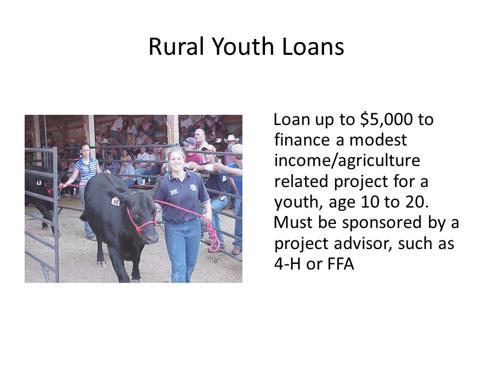 Rural Youth Loans Loan up to $5,000 to finance a modest income/agriculture related project for a youth, age 10 to 20.