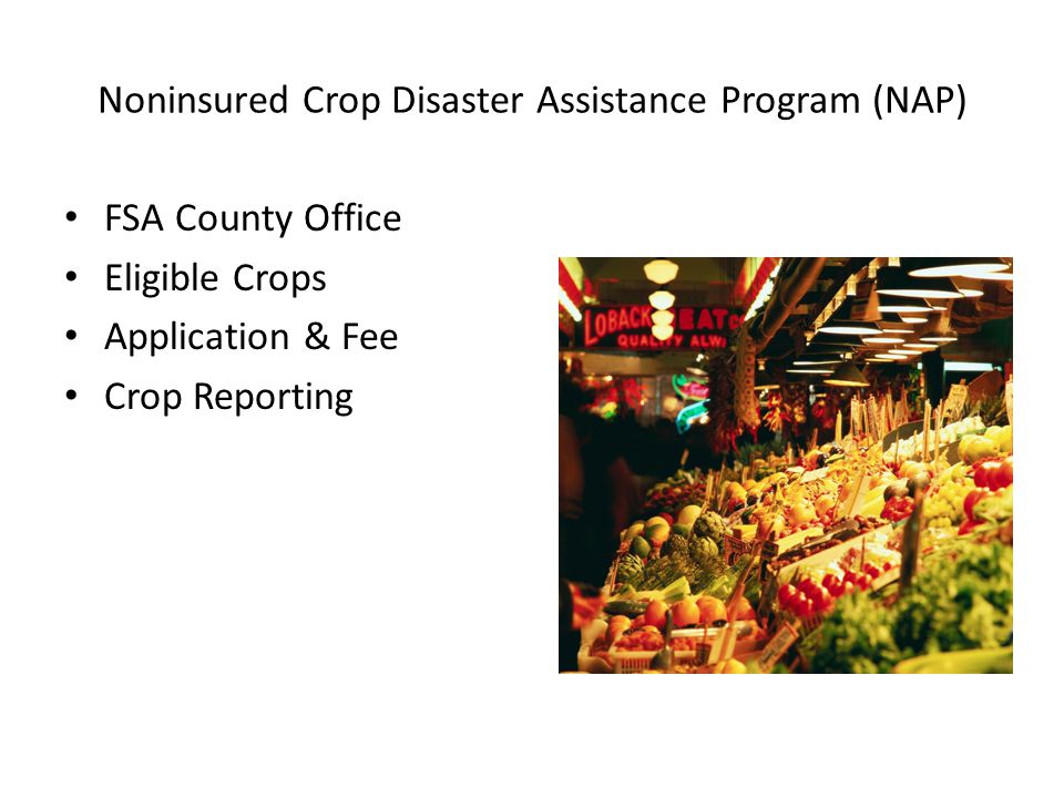 Noninsured Crop Disaster Assistance Program (NAP) FSA County Office Eligible Crops Application & Fee Crop Reporting