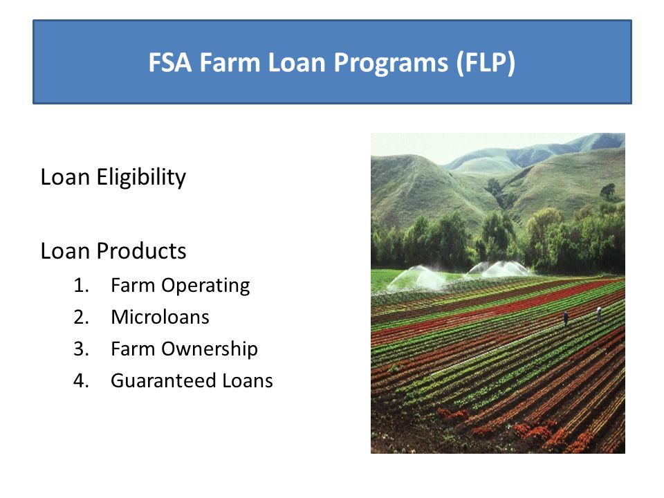 FSA Farm Loan Programs (FLP) Loan Eligibility Loan Products 1.Farm Operating 2.Microloans 3.Farm Ownership 4.Guaranteed Loans