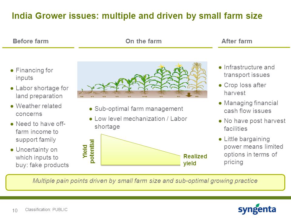 10 India Grower issues: multiple and driven by small farm size Before farmOn the farmAfter farm ●Financing for inputs ●Labor shortage for land preparation ●Weather related concerns ●Need to have off- farm income to support family ●Uncertainty on which inputs to buy: fake products ●Sub-optimal farm management ●Low level mechanization / Labor shortage ●Infrastructure and transport issues ●Crop loss after harvest ●Managing financial cash flow issues ●No have post harvest facilities ●Little bargaining power means limited options in terms of pricing Multiple pain points driven by small farm size and sub-optimal growing practice Yield potential Realized yield Classification: PUBLIC