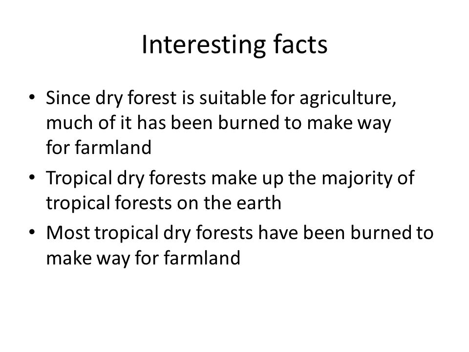 tropical dry forest interesting facts