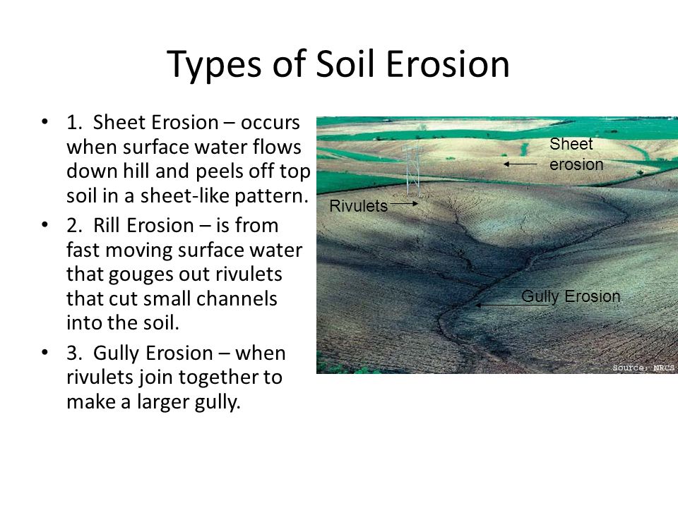 picture Types Of Soil Erosion Pictures potentially renewable resource