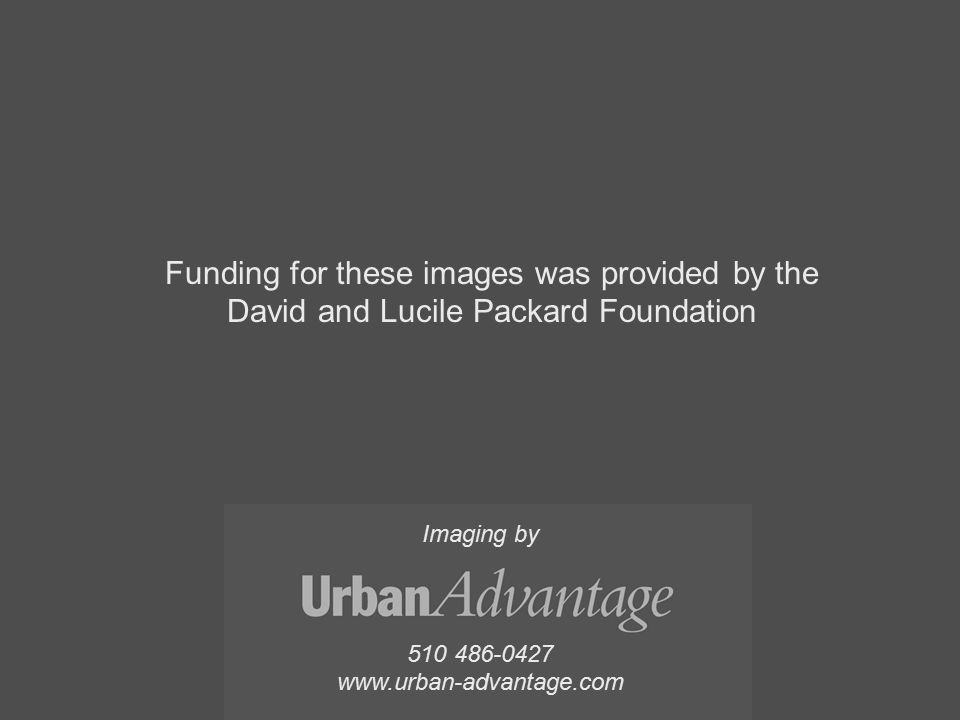 Imaging by Funding for these images was provided by the David and Lucile Packard Foundation