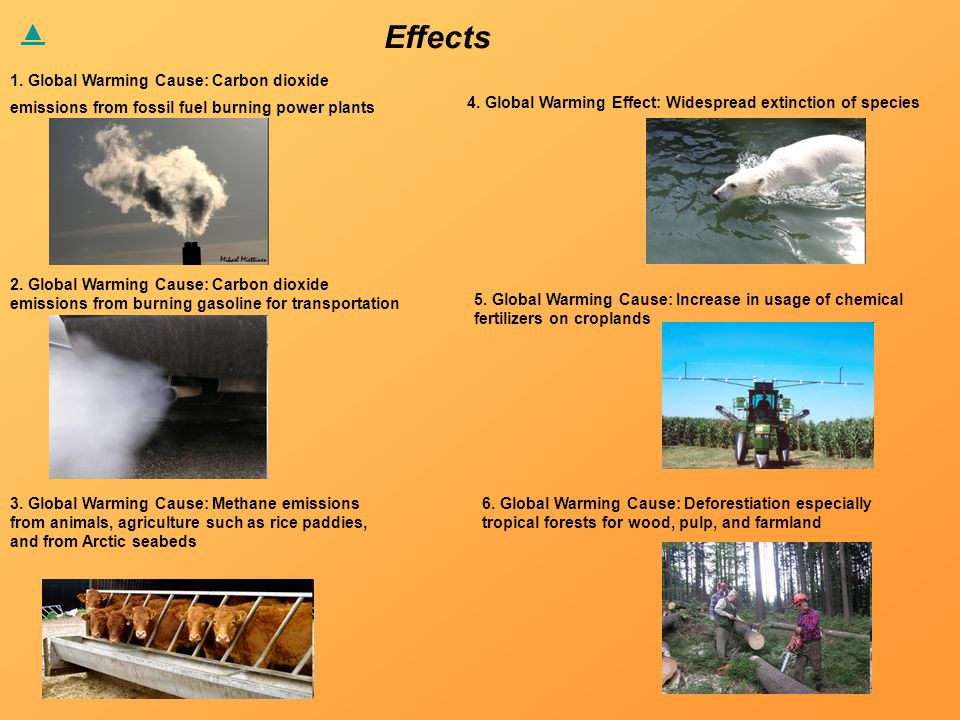 Effects 1. Global Warming Cause: Carbon dioxide emissions from fossil fuel burning power plants 2.