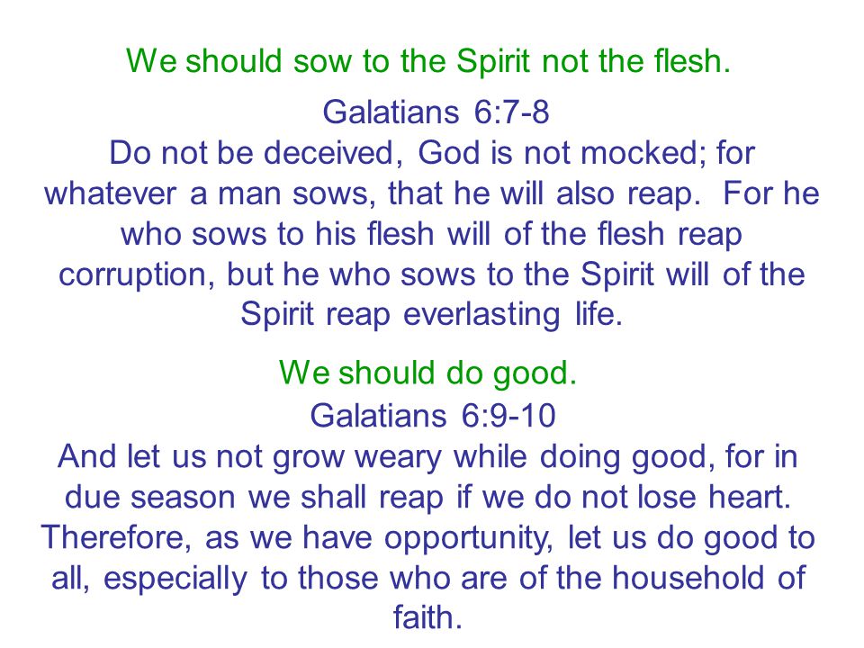 We should sow to the Spirit not the flesh.