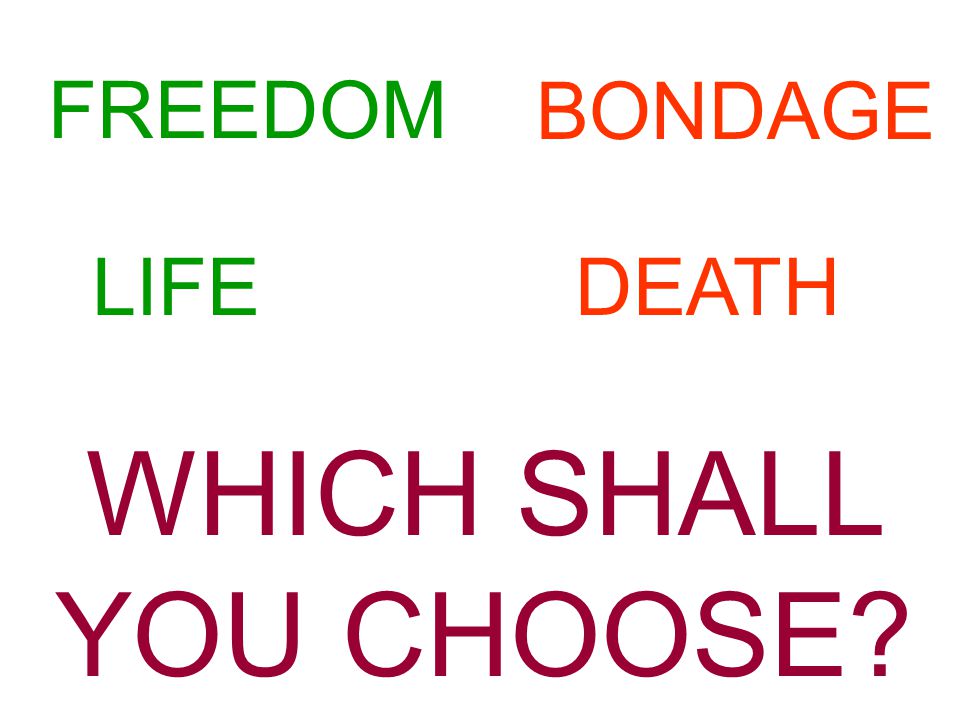 FREEDOM LIFE WHICH SHALL YOU CHOOSE BONDAGE DEATH