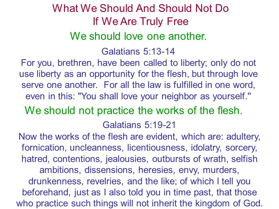 What We Should And Should Not Do If We Are Truly Free We should love one another.