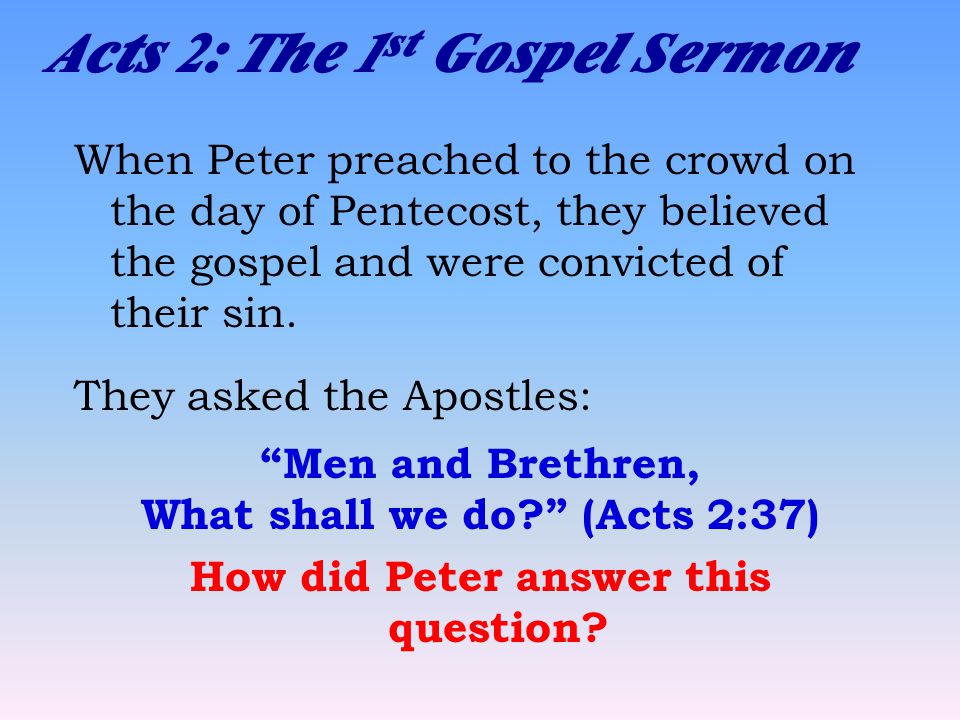 Acts 2: The 1 st Gospel Sermon When Peter preached to the crowd on the day of Pentecost, they believed the gospel and were convicted of their sin.