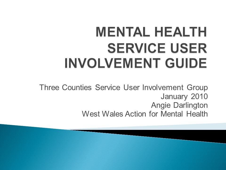 Three Counties Service User Involvement Group January 2010 Angie Darlington West Wales Action for Mental Health