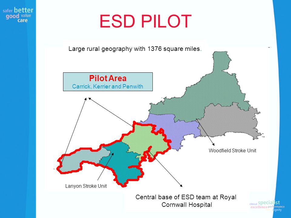 ESD PILOT Pilot Area Carrick, Kerrier and Penwith Central base of ESD team at Royal Cornwall Hospital Woodfield Stroke Unit Lanyon Stroke Unit Large rural geography with 1376 square miles.