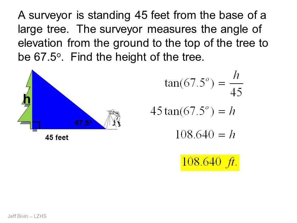 A surveyor is standing 45 feet from the base of a large tree.