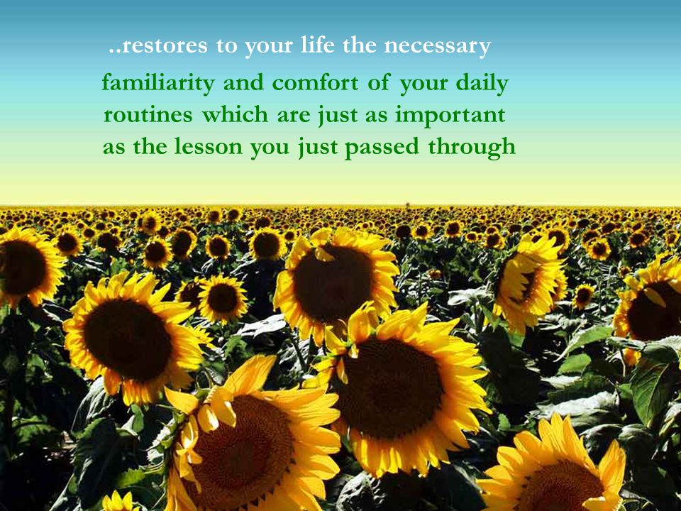 ..restores to your life the necessary familiarity and comfort of your daily routines which are just as important as the lesson you just passed through