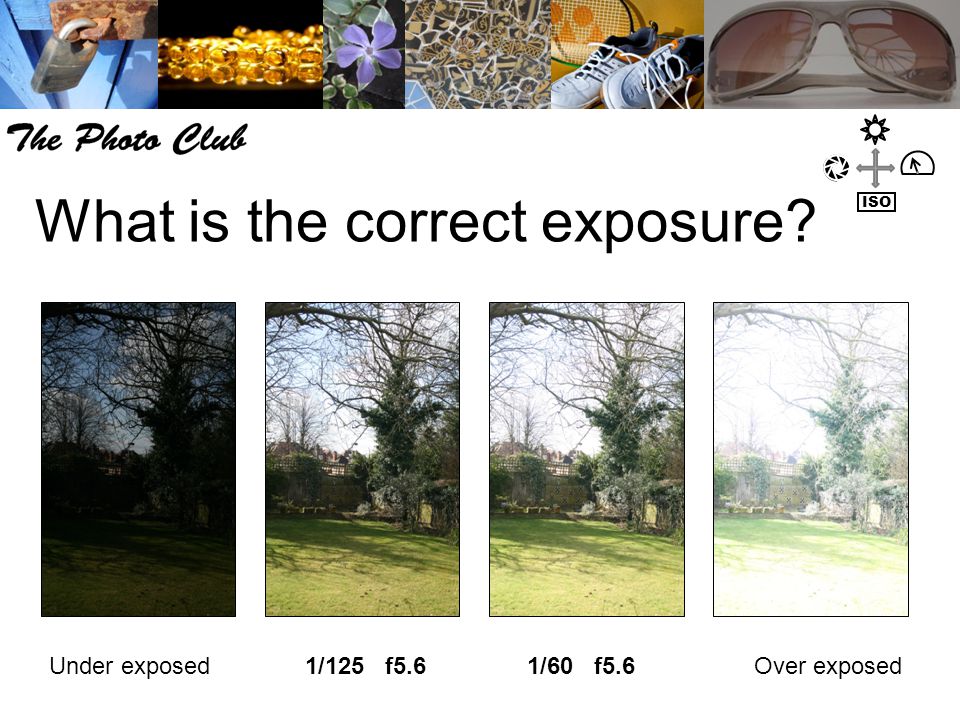 What is the correct exposure Under exposedOver exposed1/125 f5.61/60 f5.6 ISO