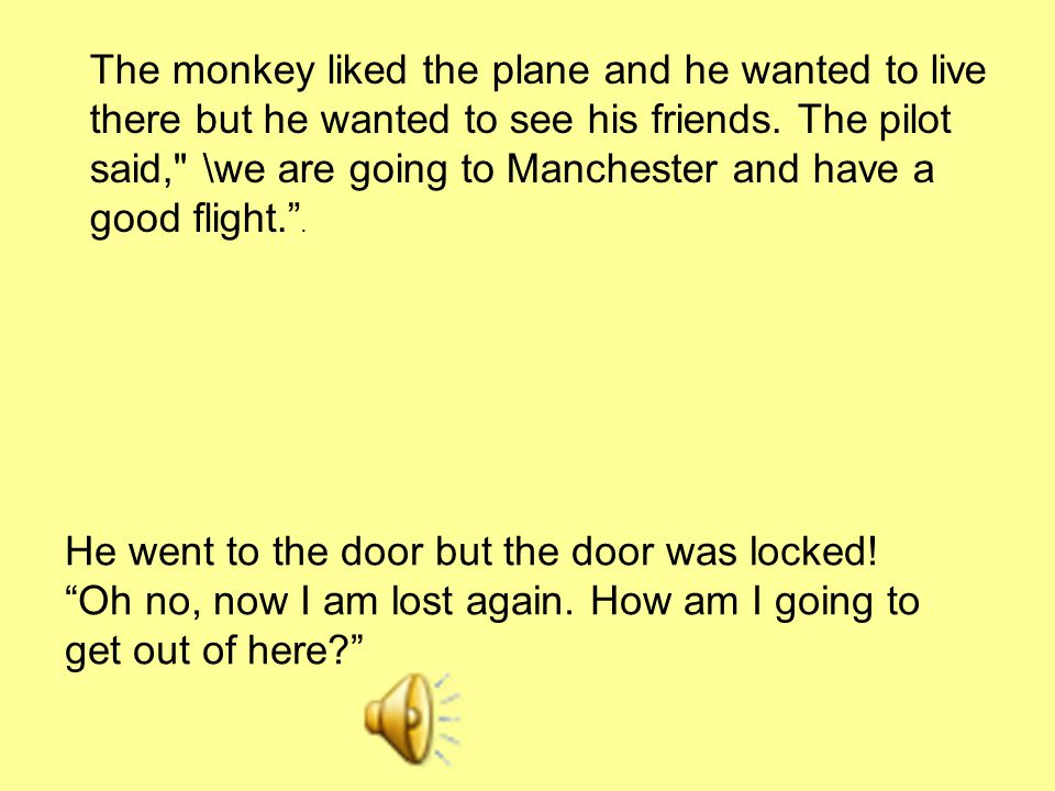 The monkey liked the plane and he wanted to live there but he wanted to see his friends.