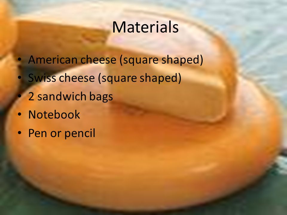 which cheese grows mold the fastest research